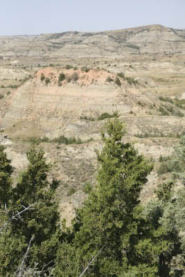 Teddy Roosevelt Park (ND)